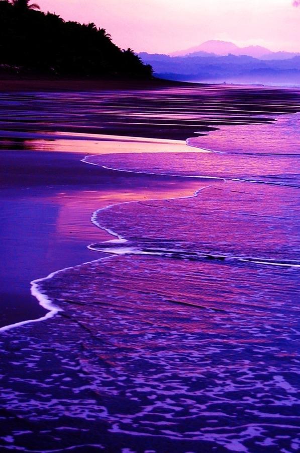 Cabinas Sol Y Mar Zancudo ภายนอก รูปภาพ